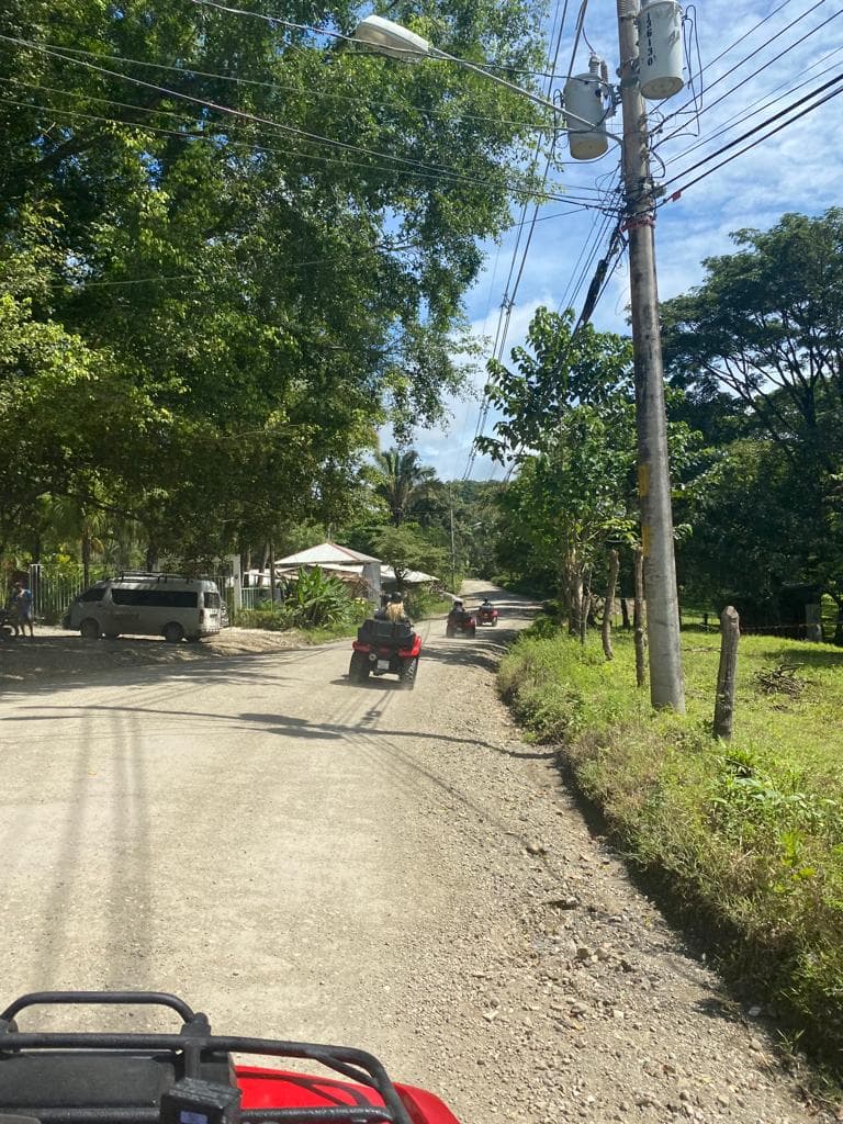 Jungle Tour · Bongo River — Jungle Tours