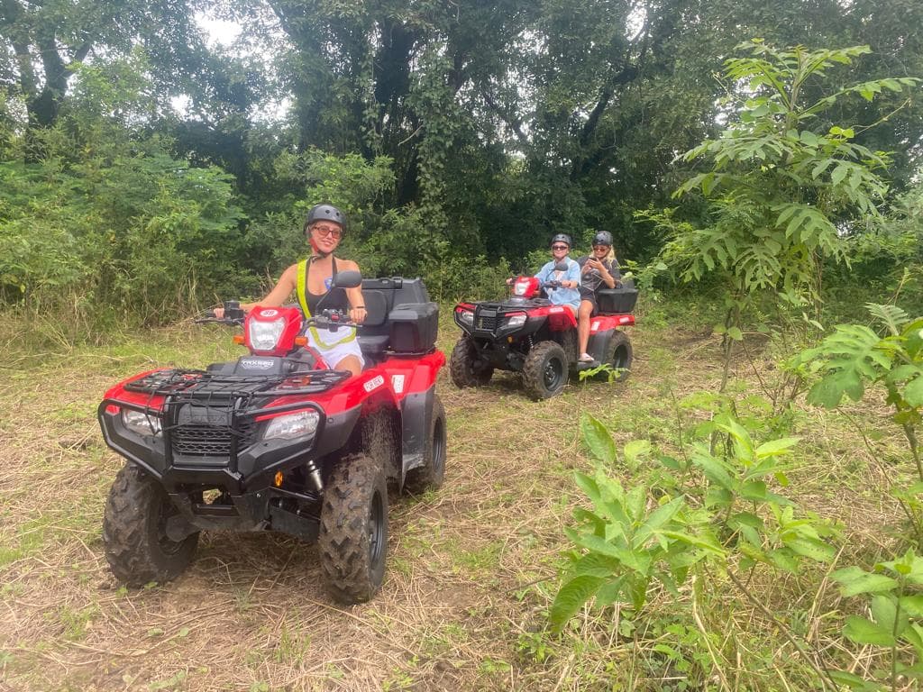 Jungle Tour · Cabo Blanco Hike — Jungle Tours