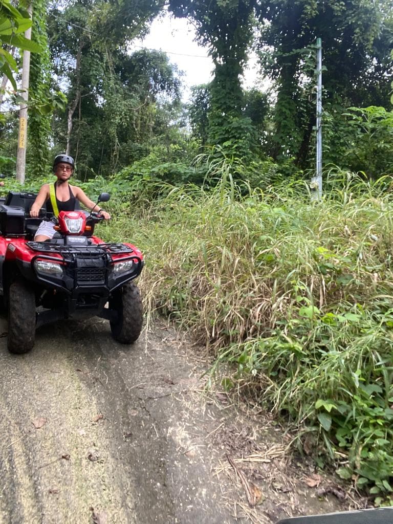 Jungle Tour · Mal País Secret Beach — Jungle Tours