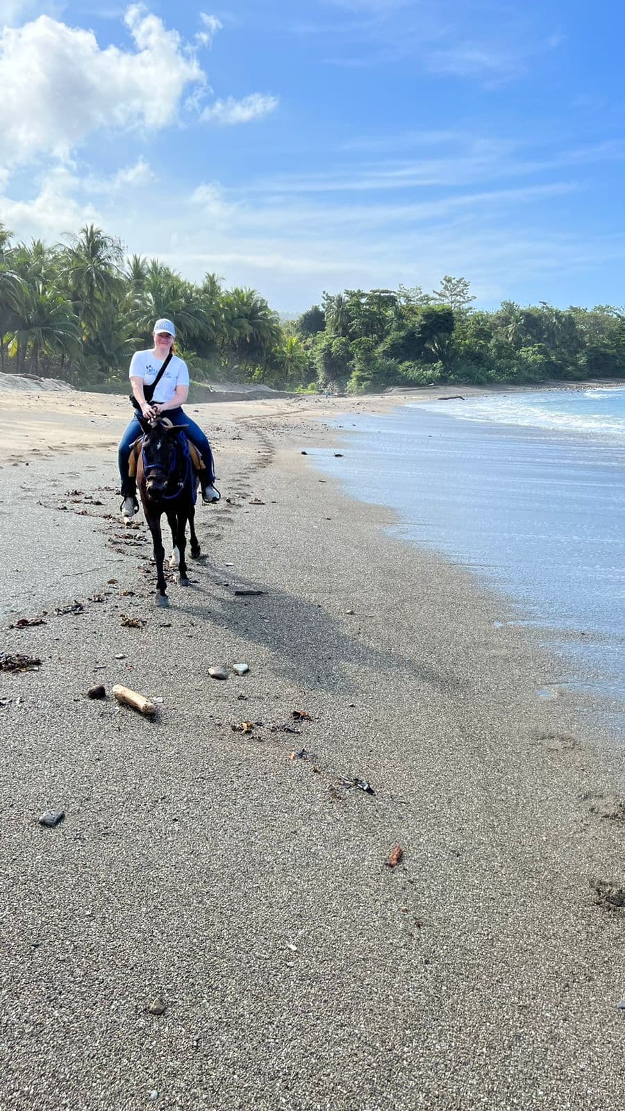 Horseback Riding — Horseback Riding